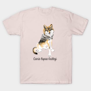 Mexican wolf #2 T-Shirt